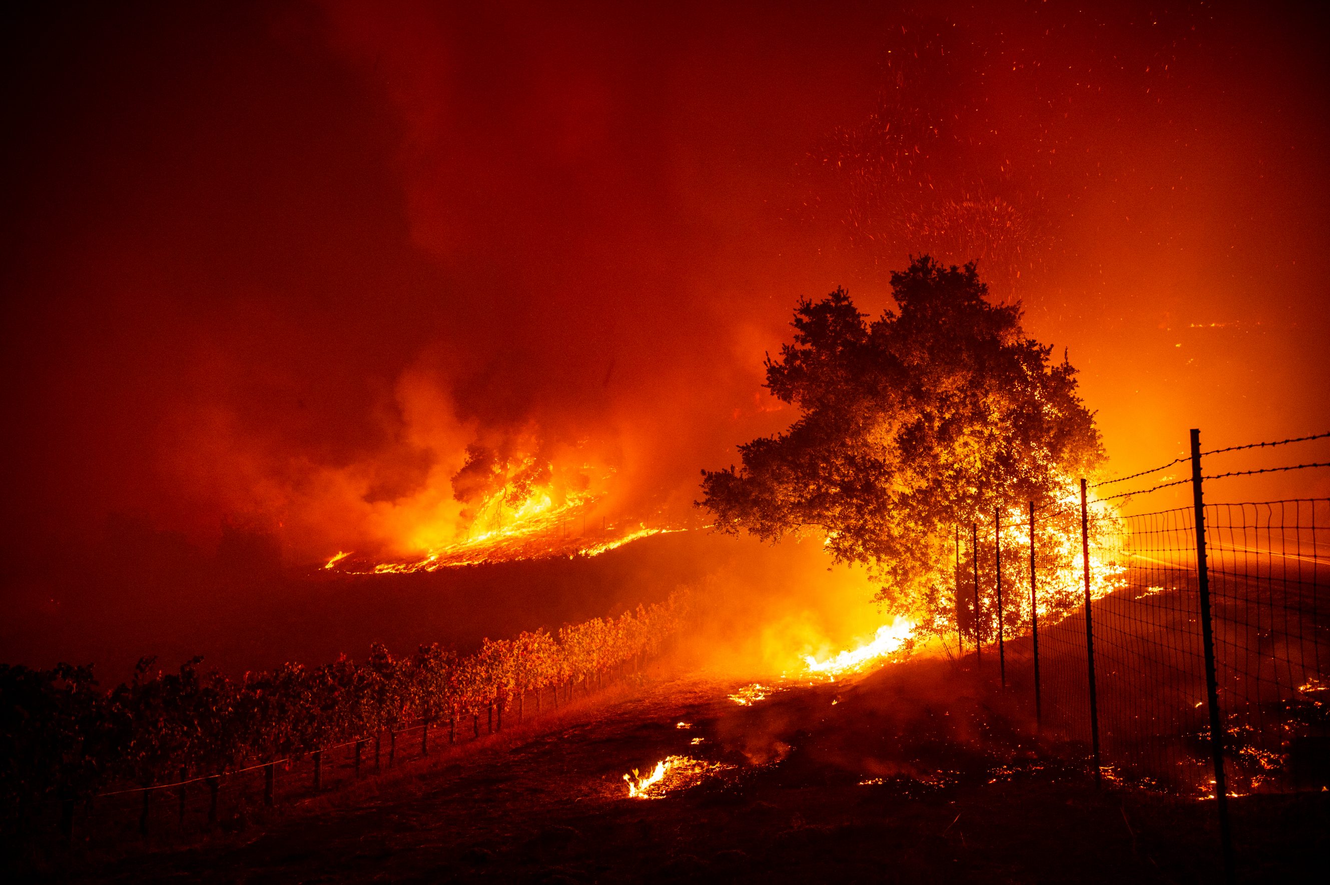 Evacuan a 50 mil personas por incendios en California