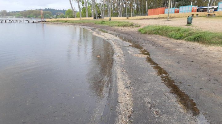 Preocupación por bajo nivel de laguna Avendaño en Quillón