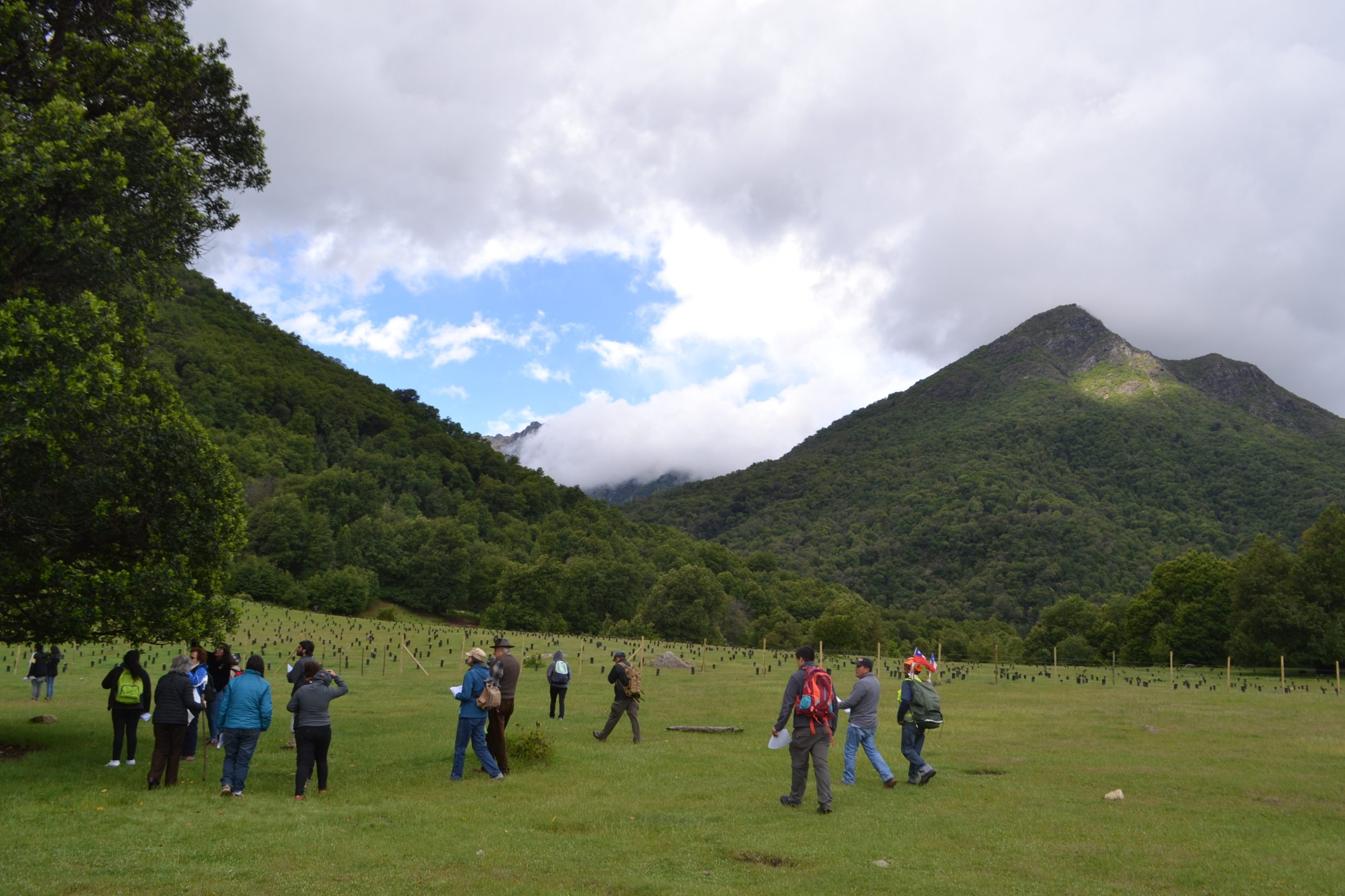 Festival de Flora Nativa busca conocer y proteger biodiversidad de San Fabián