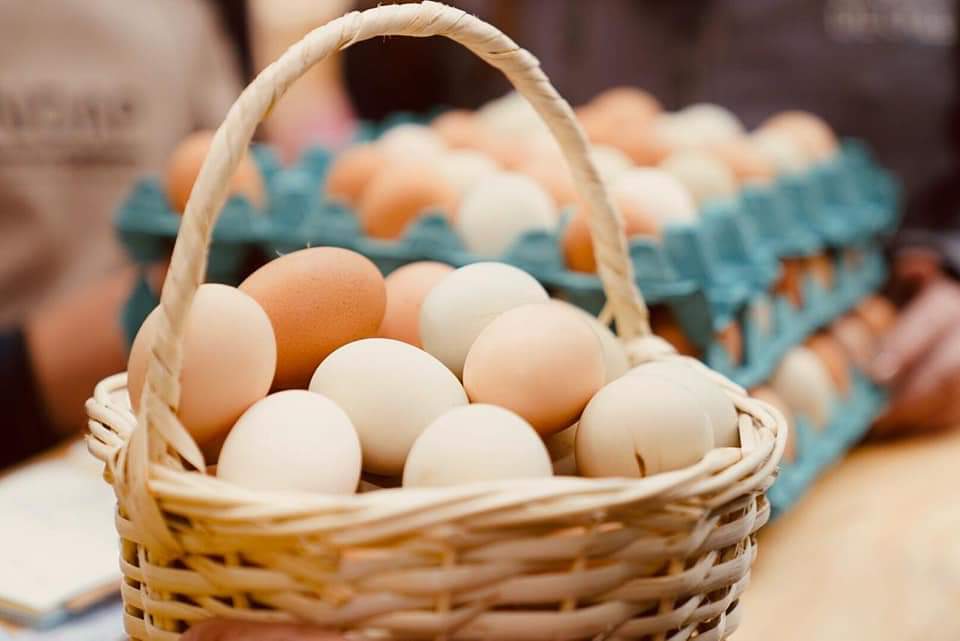 14 productores participan en Mercado Campesino de Mall Arauco