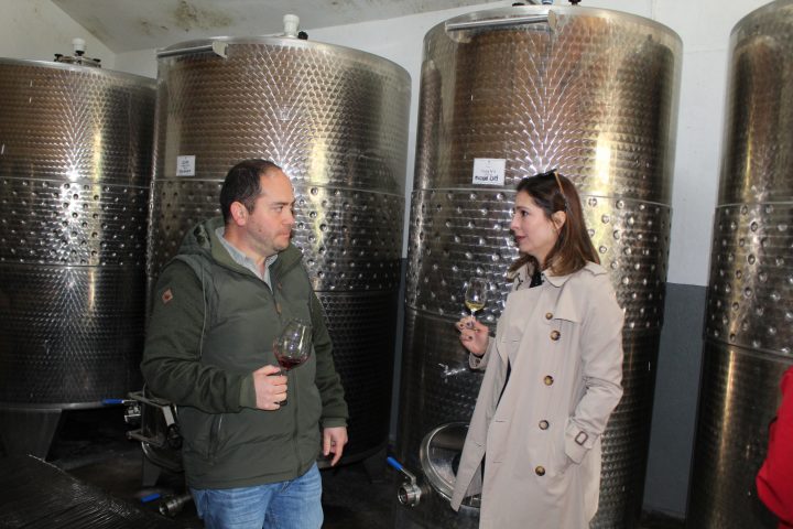 Empresaria brasileña visitó viñas de Itata
