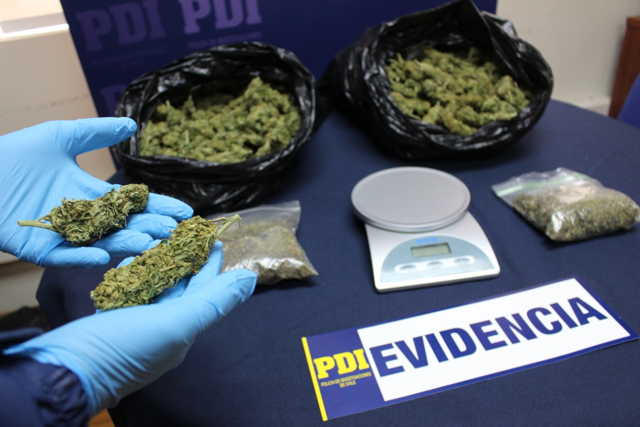 Operación Aromo: PDI incauta más de dos kilos de cannabis en San Nicolás