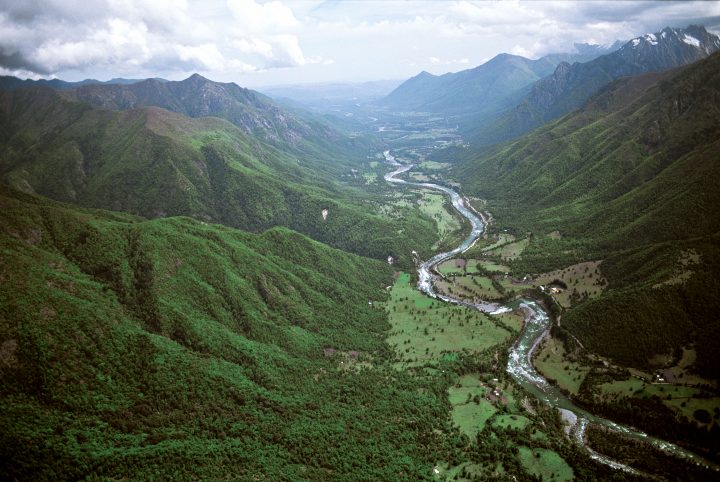 Naciones Unidas financiará proyecto de reforestación