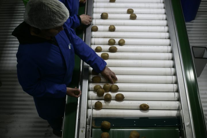 ProChile ofreció apoyo a Pymes de Ñuble