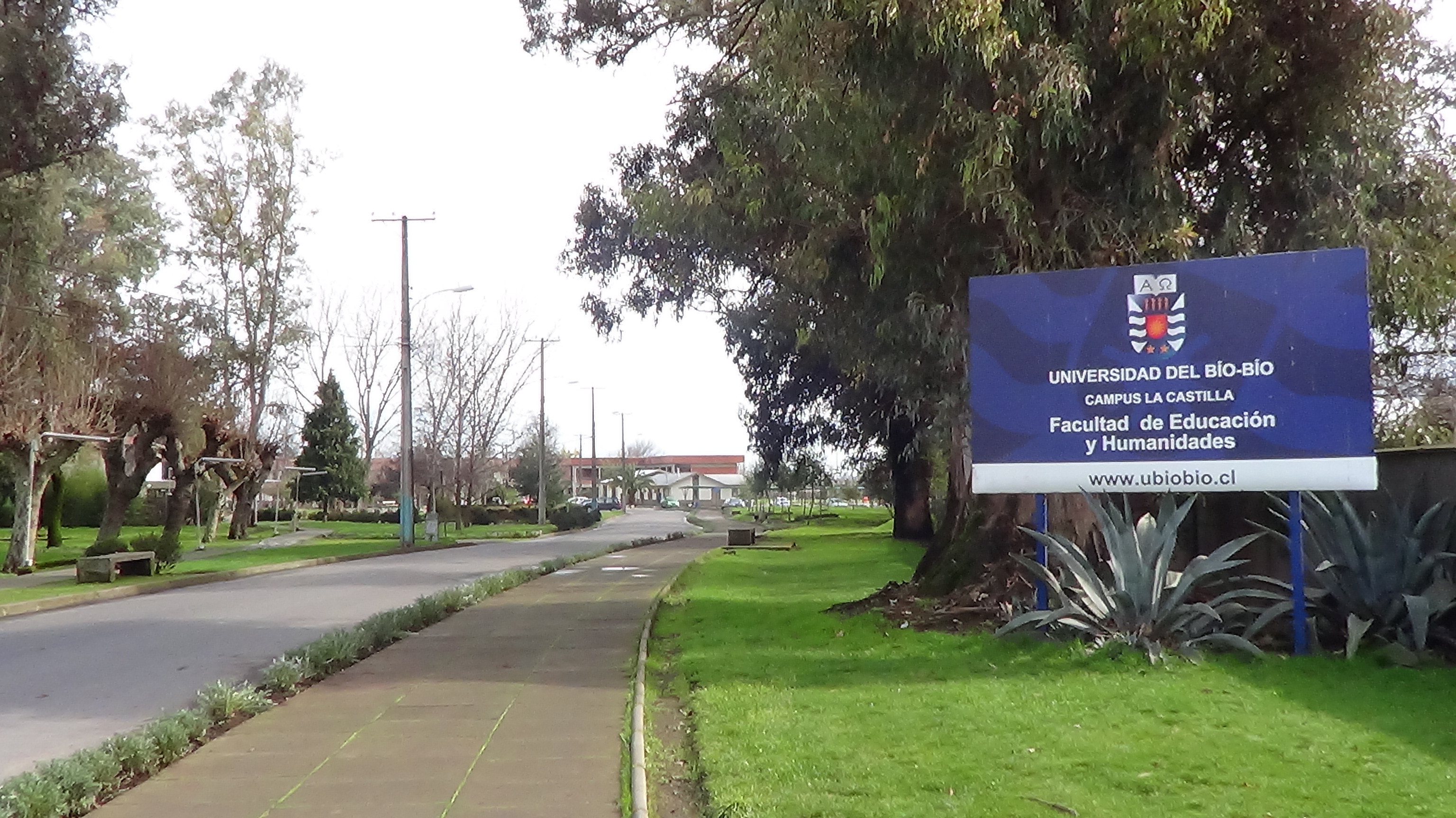 Instituciones siguen con clases suspendidas