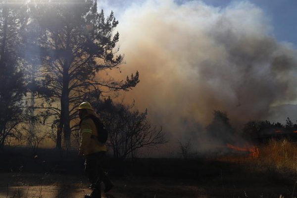 Realizarán simulacro de incendio forestal en sector Llollinco de Chillán Viejo