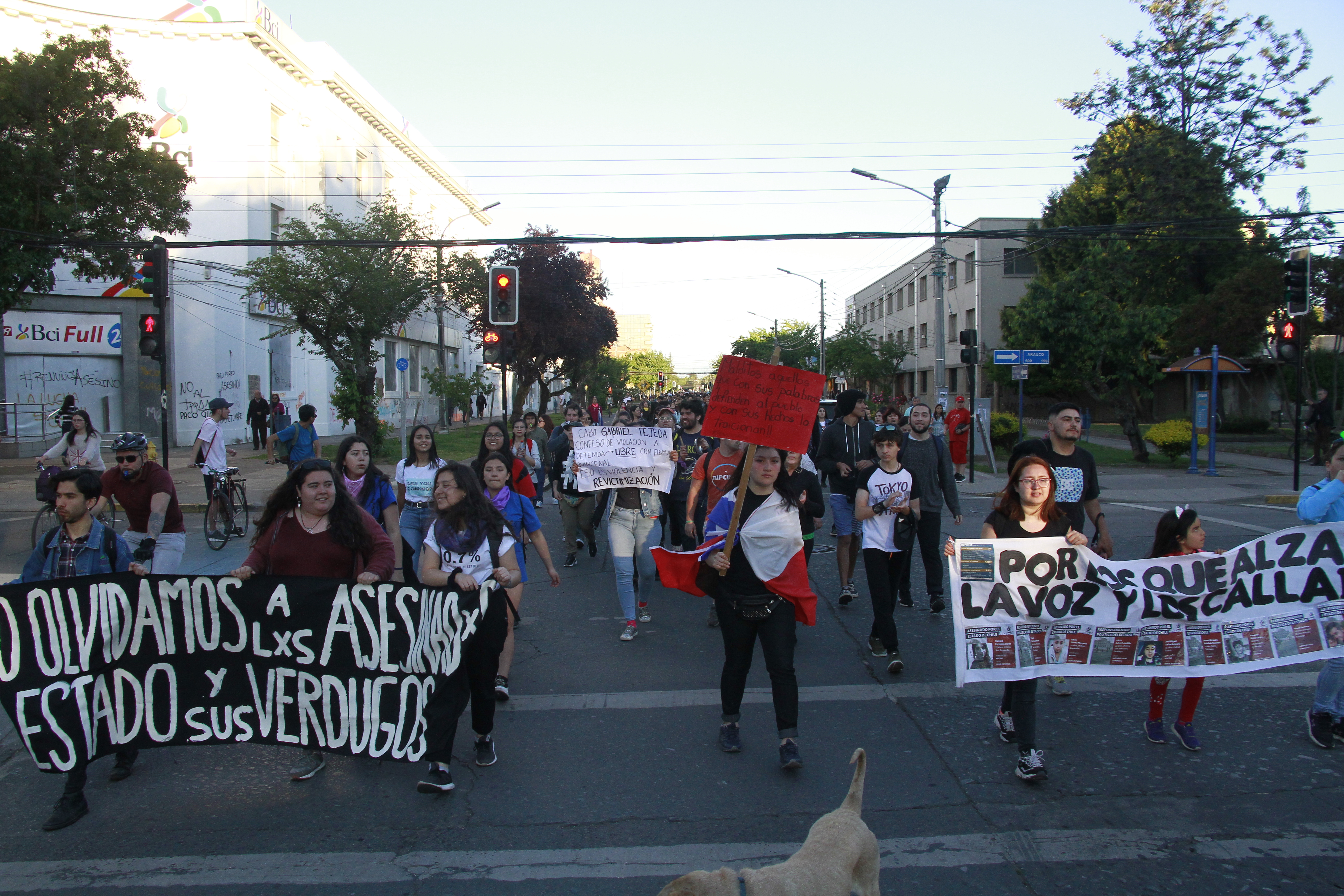 Pacífica marcha se realiza por las calles de la ciudad en un nuevo día de manifestaciones