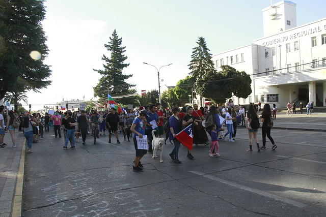 Movimiento estudiantil convoca a marchar este viernes en Chillán