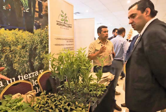 Fruticultores de Ñuble se reúnen en segunda Agroplanttrade