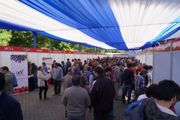 Casi mil personas asistieron a Feria Laboral en Chillán