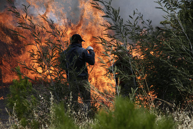 Caravanchel recupera espacios públicos tras casi un año del mega incendio forestal