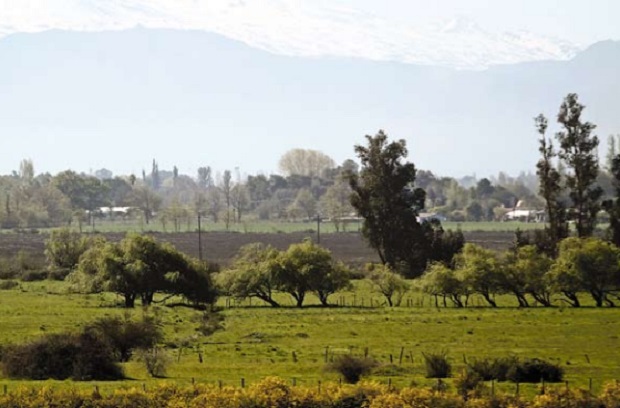 Nuevo parque comunal será dividido según áreas temáticas