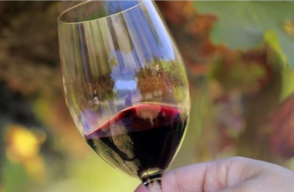 Región exportadora de vinos