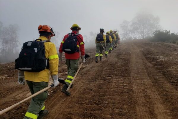 Disponen de buses para el traslado de brigadistas a sectores afectados en Ñuble
