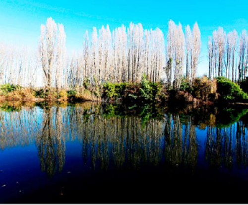 Río Itata es incluido en estudio que procesa lluvia caída La Discusión