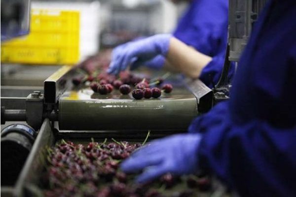 Futuro agropexportador