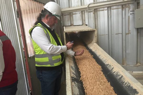 Industria del pellet duplicará producción para evitar crisis de stock de 2022