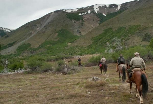 Reserva Ñuble reabre sus puertas a visitantes
