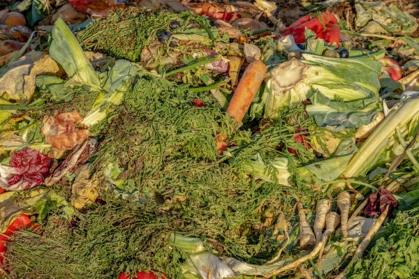 Reducir el desperdicio alimentario