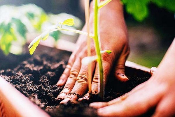 Adaptarse al cambio climático