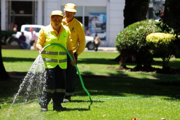 Avances en áreas verdes