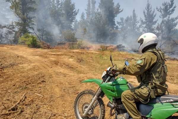 Carabineros Ñuble presentó su primera “Patrulla Forestal”