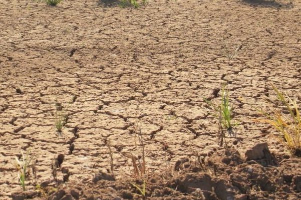 “El agua se agota”