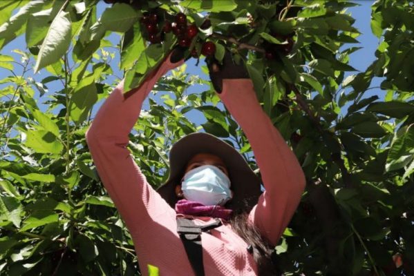 Cereceros de Quinchamalí plantearon sus demandas