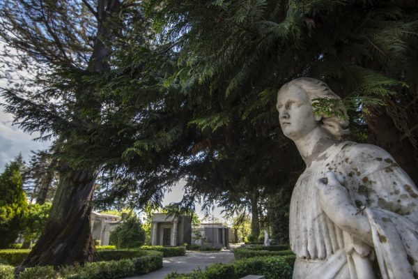 Cementerio Municipal de Chillán amplía horario para feriados religiosos