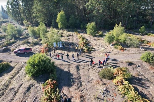 Naturaleza y pedagogía