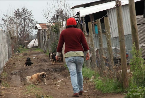 Enfrentar la pobreza rural