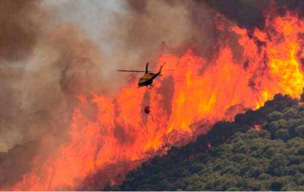 Número de incendios en Ñuble supera el promedio de los últimos cinco años