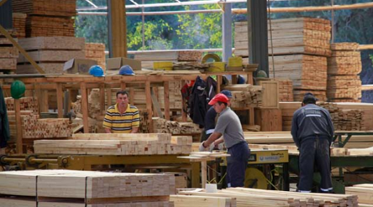 Exportaciones silvoagropecuarias de Ñuble cierran 2022 con caída de 24,3%