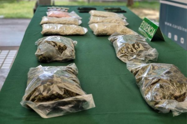 Detienen a banda que transportaba droga desde la RM hasta Chillán