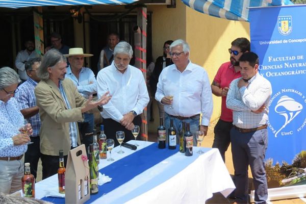 UdeC transfiere protocolo de producción de brandy a viñateros de Rahuil