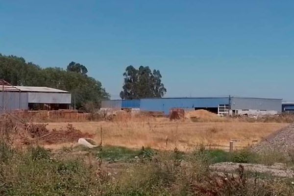 Turba armada hasta con machetes asaltó bodega camino a Huape