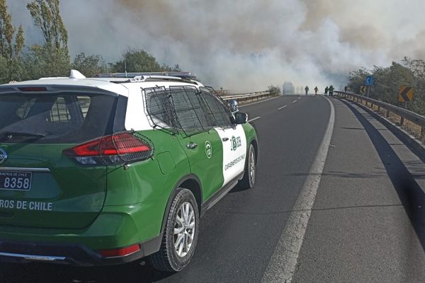 40 hectáreas consumió incendio en el acceso norte