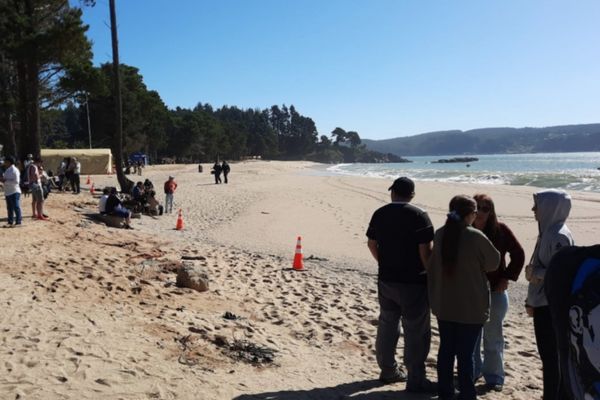 Armada y pescadores hallaron cuerpo de niño arrastrado por el mar en Pingueral