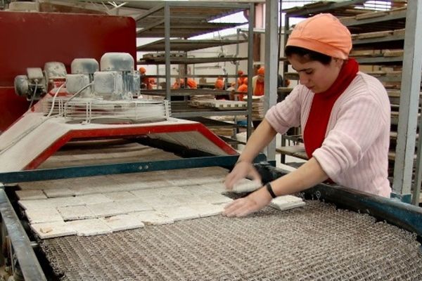 Mayoría de mipes en Ñuble busca incorporar alguna herramienta digital