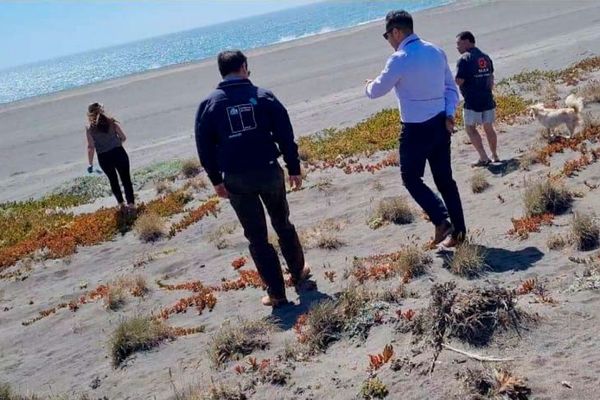 Ríos Itata y Cholguán concentran denuncias por prohibición de accesos