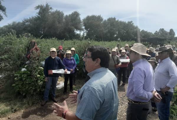 Inician fiscalizaciones al trabajo agrícola en Ñuble