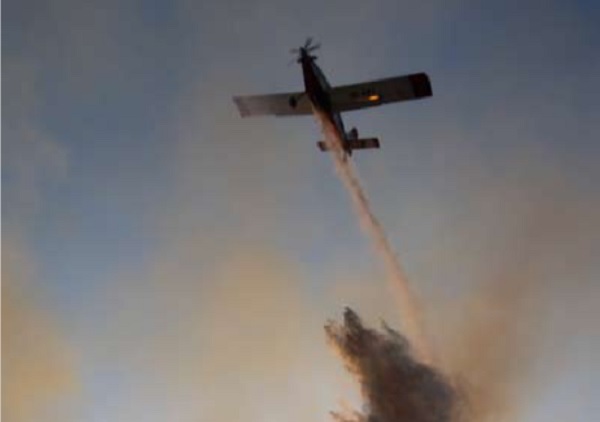284 incendios dejan más de 600 hectáreas afectadas en Ñuble esta temporada