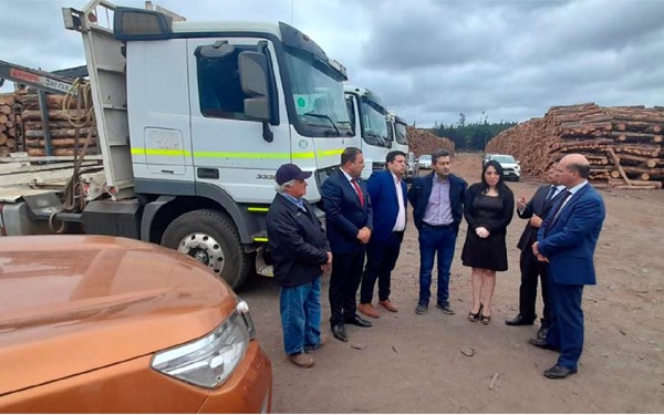 Megaoperativo por robo de madera se extendió a Chillán