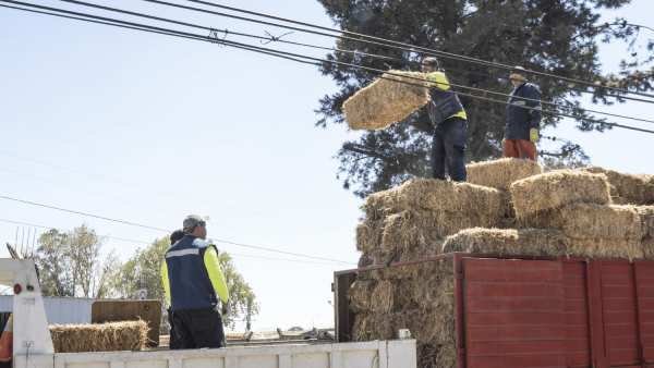 "Los huasos corren por Chile" entregó fardos y bidones de agua para afectados