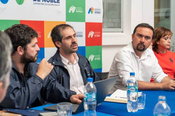 Solicitan a ministro Grau beneficios tributarios para Pymes afectadas en Ñuble