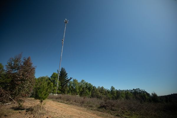 Las medidas de Entel para apoyar a las personas afectadas por los incendios