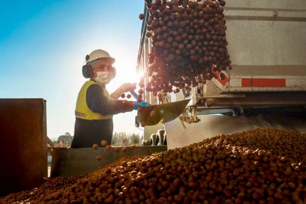 Innovación para el desarrollo de Ñuble
