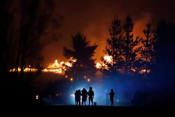 A un año del megaincendio en Ñuble: ¿Qué hemos aprendido?