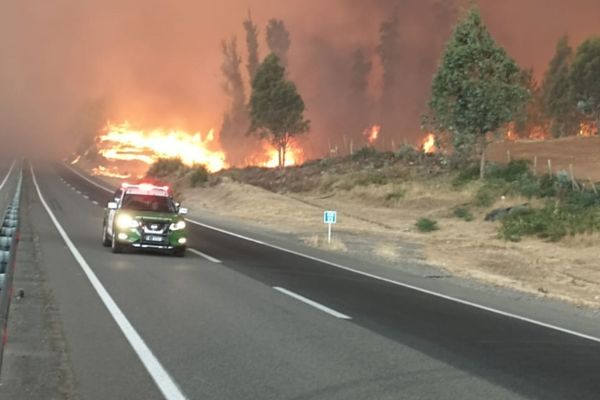 Corte de tránsito en la Autopista Del Itata por incendio forestal