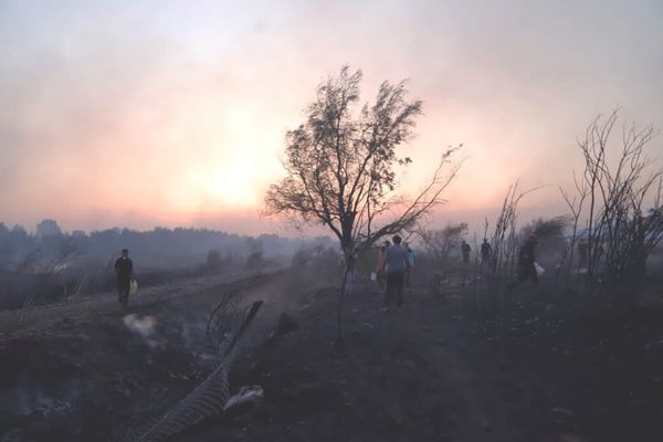 Congresistas plantean modificaciones legales para enfrentar los incendios